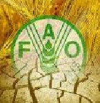 Almotamar Net - SANAA- The national committee preparing the FAO 28th conference of the Near East held a meeting in which it reviewed the final arrangements FAO conference to be held in Sanaa 7-16 March.
The meeting was chaired by Minister of Agriculture and Irrigation Jalal Faqira