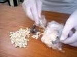 Almotamar Net - Specialised Yemeni First Instance Criminal Court on Saturday decided to postpone till next Saturday trial of a Syrian national accused of bringing into Yemen more than 450 thousand narcotic tablets Keptagon. The court decision was for allowing the defendant�s lawyer time to study the file of the case. 