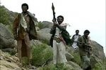 Almotamar Net - A source at the Yemeni Defence Ministry on Saturday denied as groundless the news reported by some media and electronic websites that armed forces shelled positions of rebellions affiliate of insurgent Abdulmlik al-Houthi in Saada governorate.