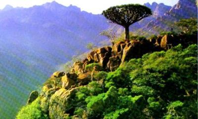 Almotamar Net - The United Nations for Educational, Scientific and Cultural Organisation (UNESCO) announced putting the Socotra Island on the list of World natural heritage. The Organisation confirmed adding Socotra Archipelago at a meeting of the world heritage committee held in Canada in addition to 13 new sites in a number of countries. 