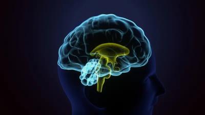 المؤتمر نت - 7 قواعد صارمة يمكن الالتزام بها للحفاظ على حدة الدماغ وقوة الذاكرة ومحاربة الخرف