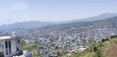   -                      24  