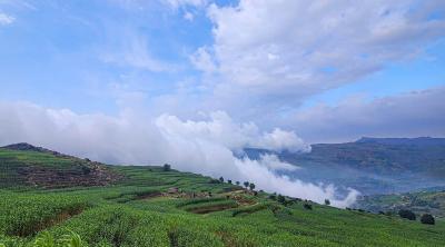 المؤتمر نت - توقع المركز الوطني للأرصاد والإنذار المبكر أجواء باردة إلى شديدة البرودة في عدد من المحافظات والمرتفعات خلال الـ24 ساعة المقبلة