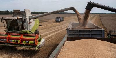 المؤتمر نت -