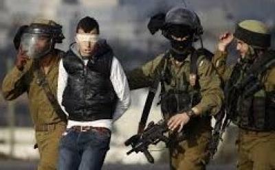 المؤتمر نت - العدو يعتقل 442 فلسطينيا في شهر