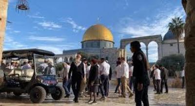 المؤتمر نت - 833 مستوطن يقتحمون الأقصى