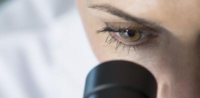 المؤتمر نت -