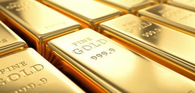 المؤتمر نت -