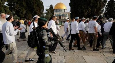 المؤتمر نت -