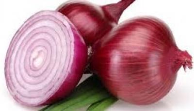 المؤتمر نت - ماذا يحدث لجسمك عند أكل البصل يومياً؟
