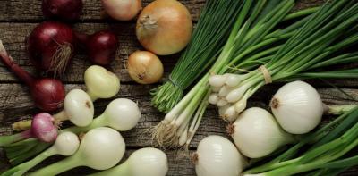 المؤتمر نت -