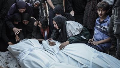   -        70  365             2023