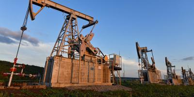 المؤتمر نت -