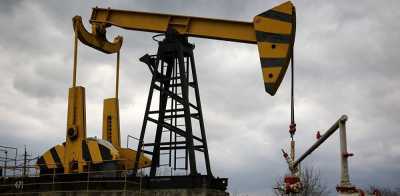 المؤتمر نت -