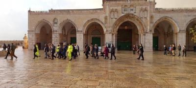 المؤتمر نت -