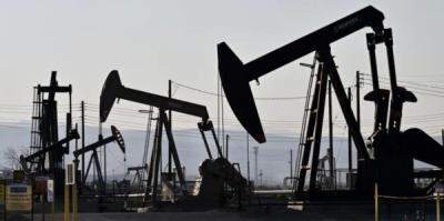 المؤتمر نت -