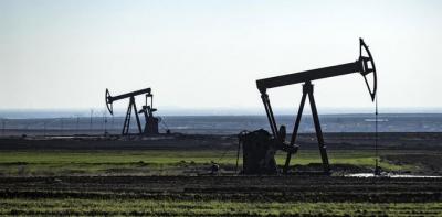 المؤتمر نت -