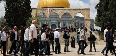 المؤتمر نت -