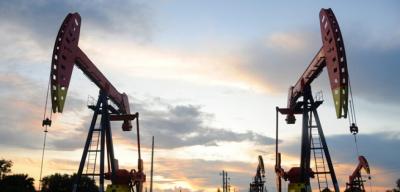 المؤتمر نت -