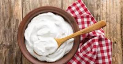 المؤتمر نت - 4 فوائد صحية لتناول الزبادي يومياً